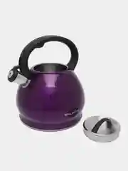 Фиолетовый чайник WILLMARK WTK-4221SS