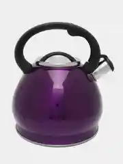 Фиолетовый чайник WILLMARK WTK-4221SS