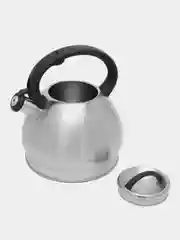 Серый металлик чайник WILLMARK WTK-4221SS
