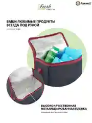 Бордовый термосумка ланчбокс Paxwell Фреш 2S