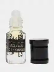 Духи по мотивам Molecule 01 + Ginger, масляные, 3 мл