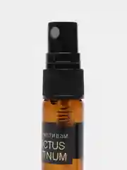 Духи по мотивам Invictus Platinum, 3 мл