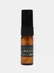 Духи по мотивам Molecule 01 + Ginger, 3 мл