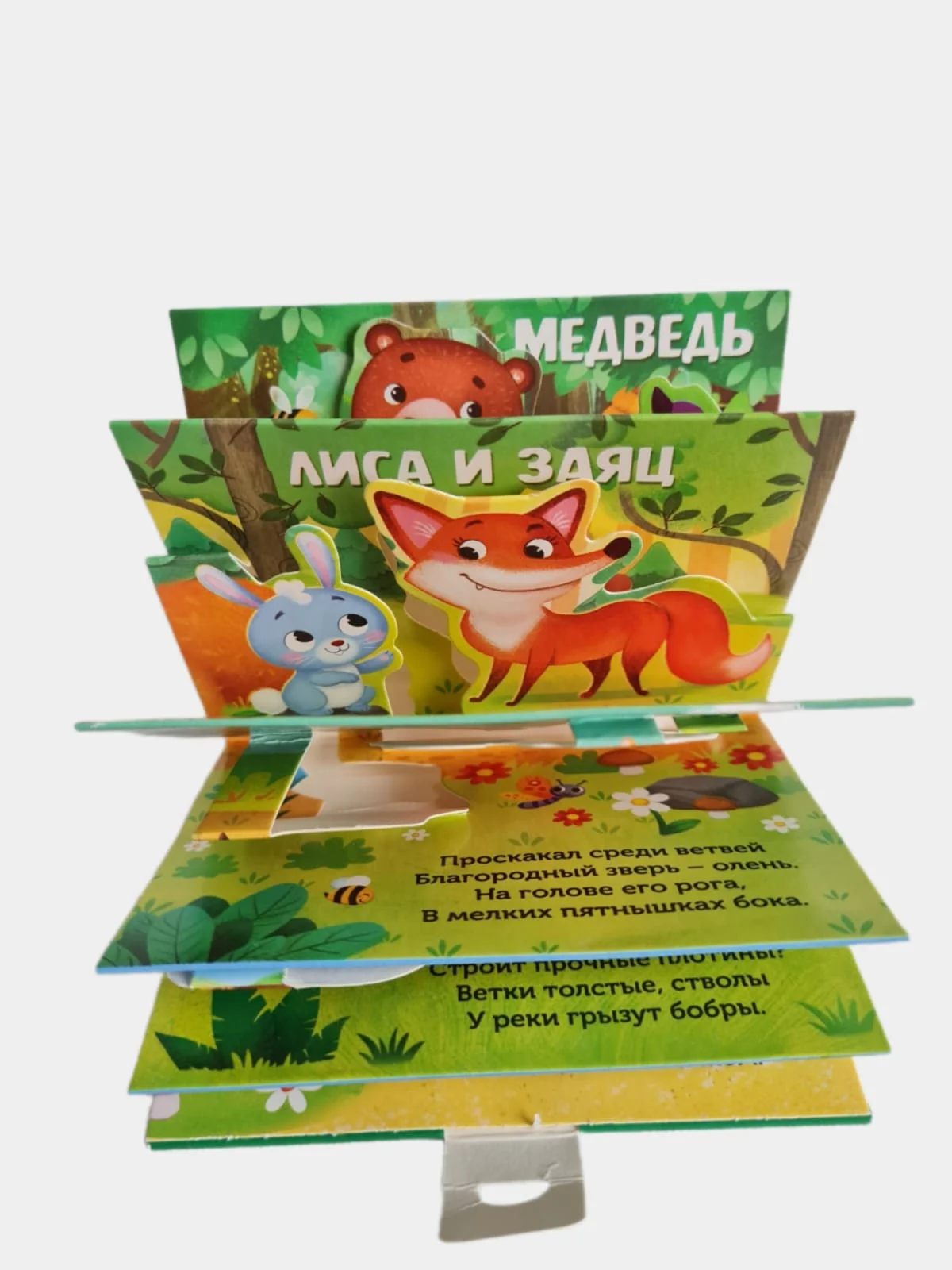 Книжка-панорамка 3D "Кто прячется в лесу?"