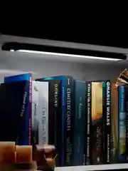 Черный светильник с датчиком движения, настенный светильник потолочный лед светильник, 2 шт