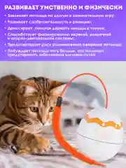 Оранжевый интерактивная игрушка дразнилка для кошек Яйцо Динозавра. Удочка с пером для котят