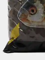 Прикормка рыболовная Vabik Special Roach (Вабик Спешиал Плотва) New, 1 кг