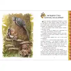 Индейские сказки.