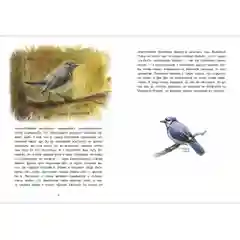 Индейские сказки.
