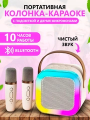 Колонка караоке с двумя микрофонами