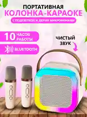 Колонка караоке с двумя микрофонами