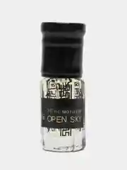 Духи по мотивам Open Sky, масляные, 3 мл