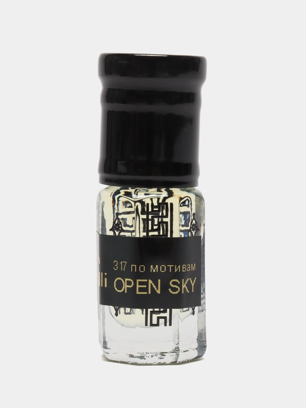 Духи по мотивам Open Sky, масляные, 3 мл