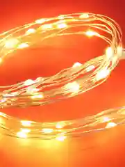 Гирлянда эл. нитка росы 1 м, 10 LED, шампань, питание 2xCR2032