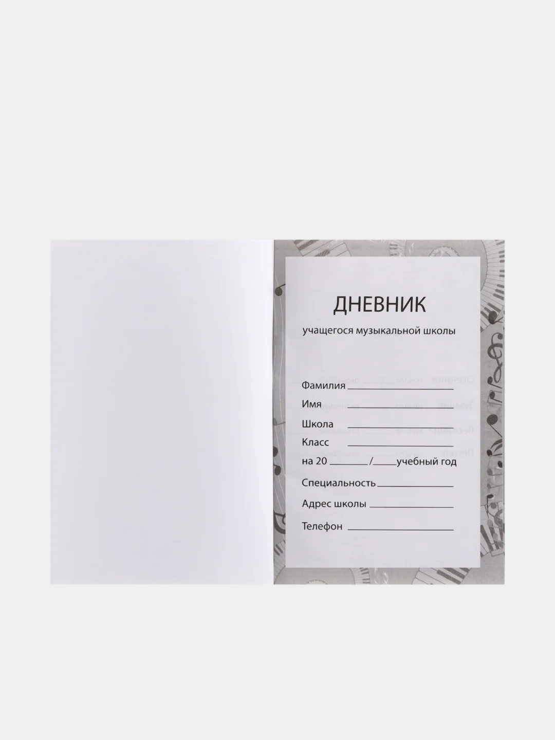 Разноцветный дневник для музыкальной школы, со справочной информацией, разные виды