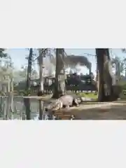 Игра Red Dead Redemption 2 PS4, диск на PS4, диск на PS5, Русские субтитры