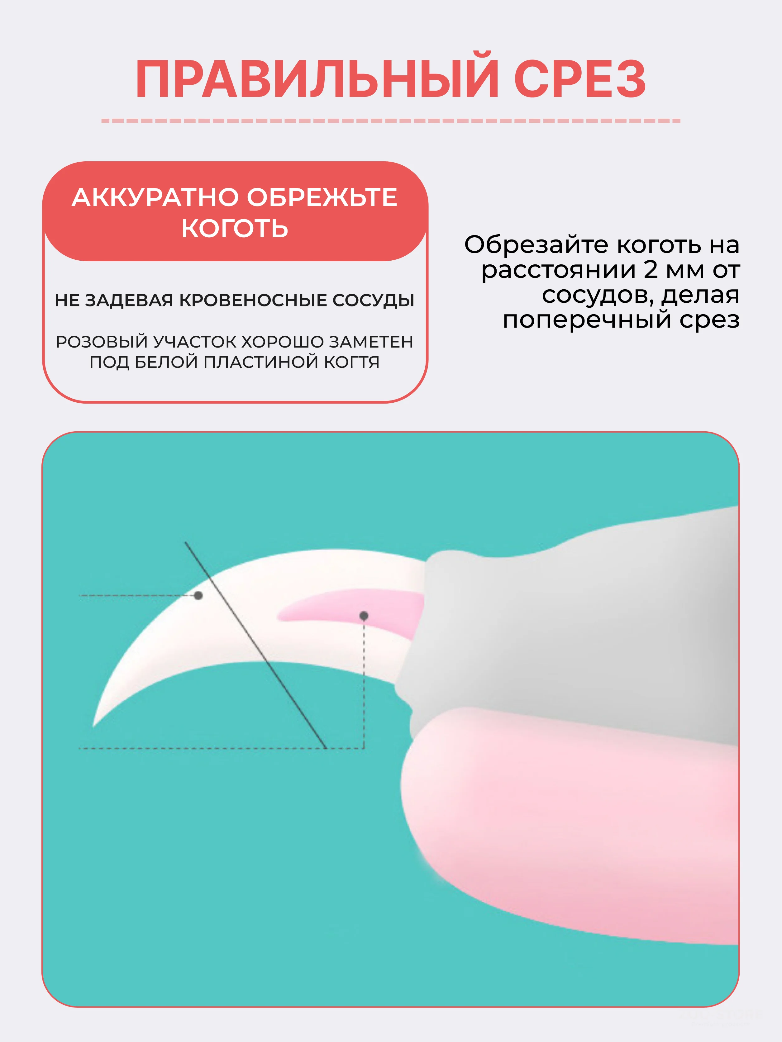 Розовый когтерезка-ножницы для стрижки когтей, кошек, собак, животных, когтерез кусачки грызунов