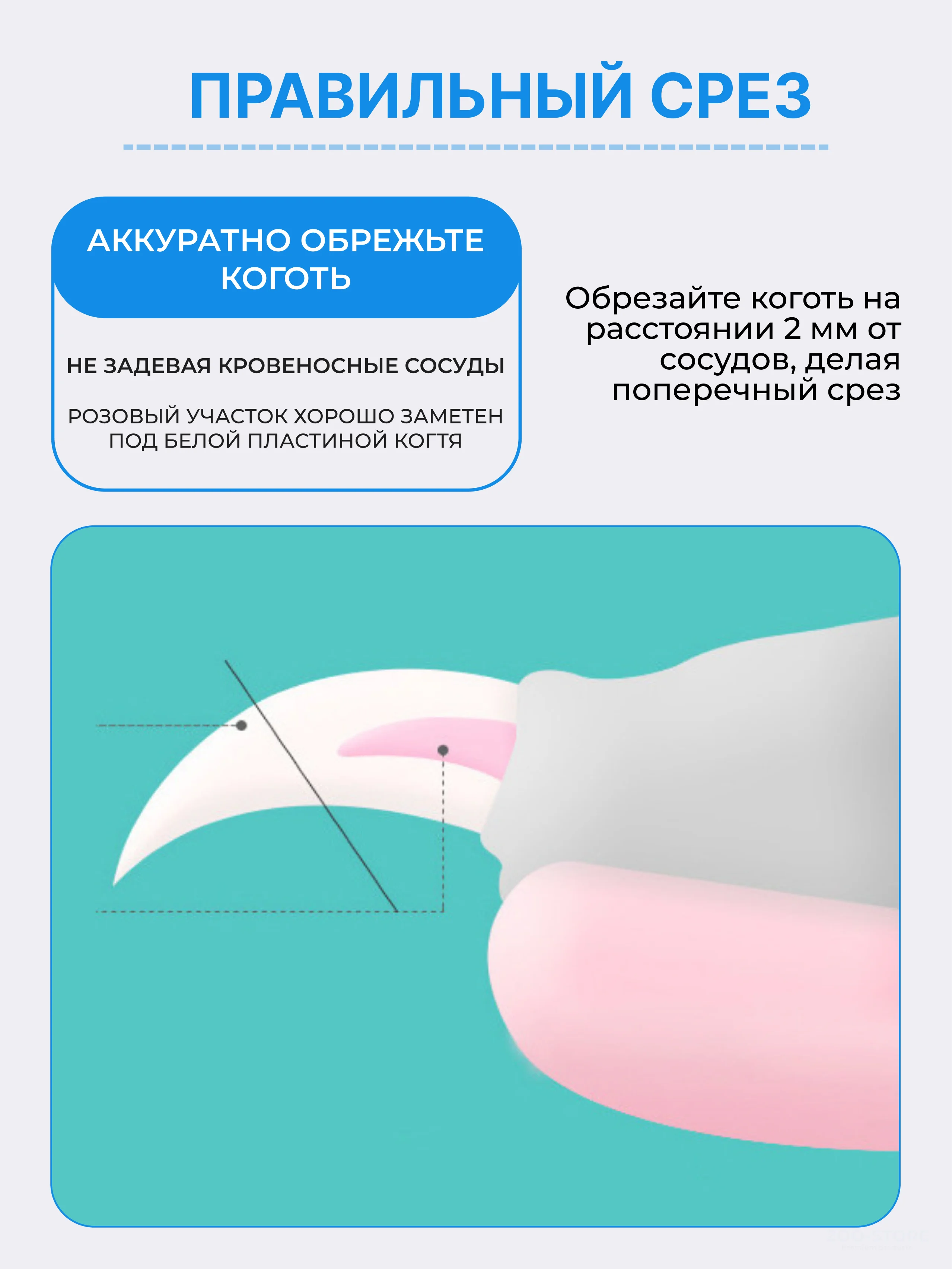 Светло-синий когтерезка-ножницы для стрижки когтей, кошек, собак, животных, когтерез кусачки грызунов