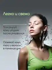 Гидролат Туя, тоник для кожи с воспалениями, craftzabota, 100 мл