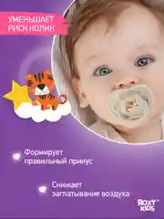 Аметистовый соска-пустышка ортодонтическая с футляром, 2 шт