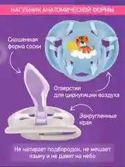 Аметистовый соска-пустышка ортодонтическая с футляром, 2 шт