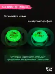 Аметистовый соска-пустышка ортодонтическая с футляром, 2 шт