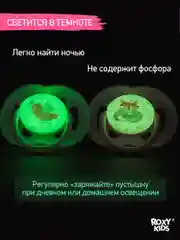 Лавандовый соска-пустышка ортодонтическая с футляром, 2 шт