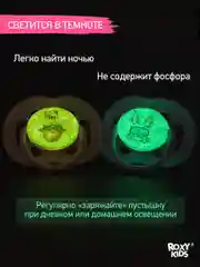 Белый соска-пустышка ортодонтическая с футляром, 2 шт
