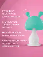 Голубой прорезыватель для зубов Грибочек с держателем, в футляре от ROXY-KIDS