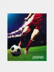 Бордовый дневник школьный для 1-11 класса, в твердой обложке