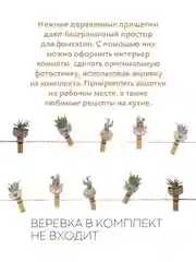 Разноцветный 10 шт, мини-прищепки для фотографий декоративные Картофан, деревянные держатели для фото