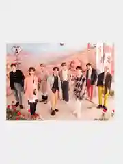 Коралловый меланж плакат/ Постер K-POP Stray Kids