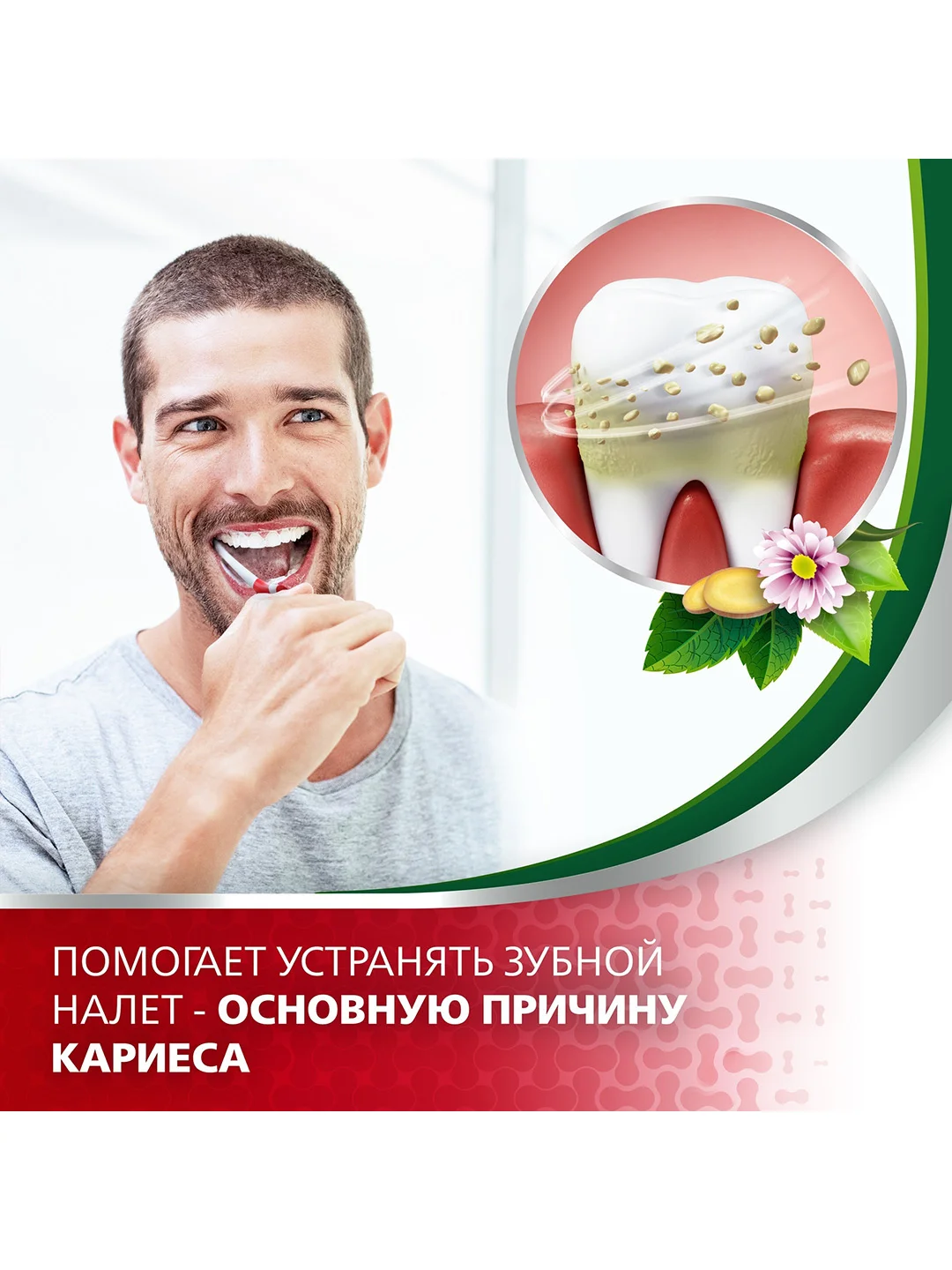 Зубная паста parodontax Экстракты Трав от воспаления и кровоточивости десен, 75 мл, 2 шт