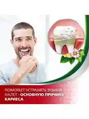 Зубная паста parodontax Экстракты Трав от воспаления и кровоточивости десен, 75 мл, 2 шт