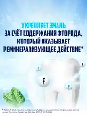 Зубная паста Aquafresh с Фтором для тройной защиты полости рта, 100 мл, 2 шт