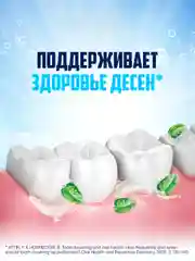 Зубная паста Aquafresh с Фтором для тройной защиты полости рта, 100 мл, 2 шт