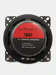 Динамики (10см) DV-Pioneer.ok