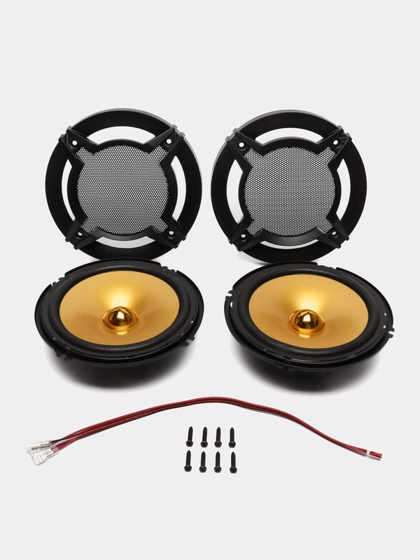Динамики (16см) DV-Pioneer.ok