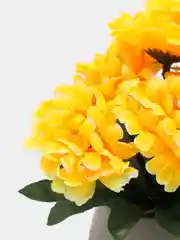 Светло-оранжевый искусственные цветы хризантема, гвоздика