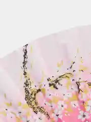 Веер