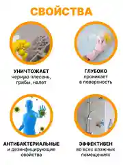 SPELL Средство чистящее для удаления плесени, 600 мл