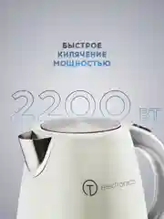 Электрический чайник Titan Electronics