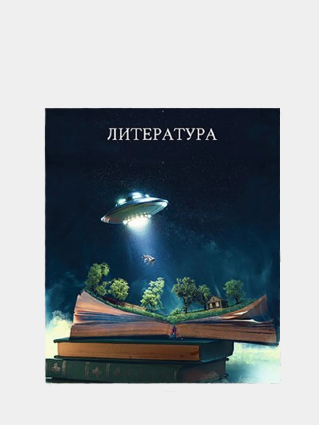 Лавандовый предметная тетрадь, с пластиковой обложкой, 48 л. "Школьный стиль", 10 предметов