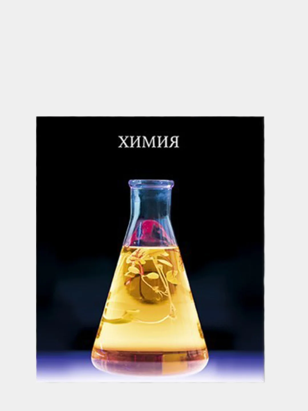 Хаки предметная тетрадь, с пластиковой обложкой, 48 л. "Школьный стиль", 10 предметов