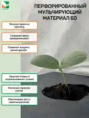 Перфорированный мульчирующий материал Агротекс 60 1,6х5м