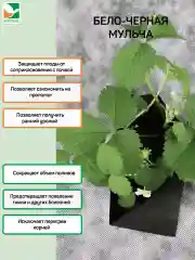Черно-белый мульчирующий материал Агротекс 80 3х5м