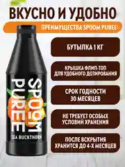 Концентрат на натуральной основе SPOOM Облепиха, 1 кг