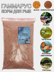 Корм для рыб и черепах гаммарус, мормыш, целый, тушка, и измельченный Пижон