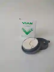Концентрированная зубная паста VIAN (ВИАН), 25 г
