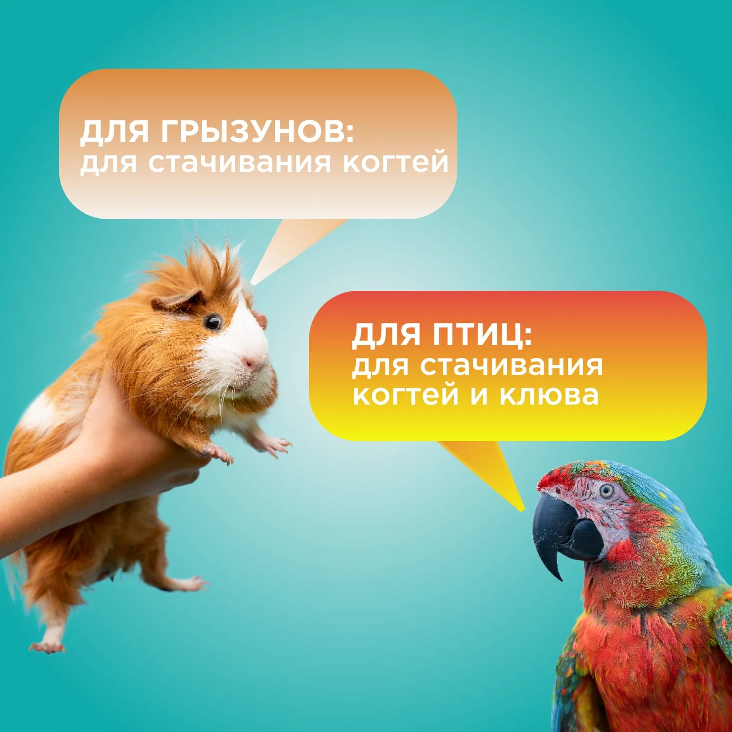 Полка для стачивания клюва и когтей для птиц и грызунов, 9*13 см